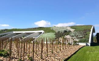 Vines in front of a pitched green roof